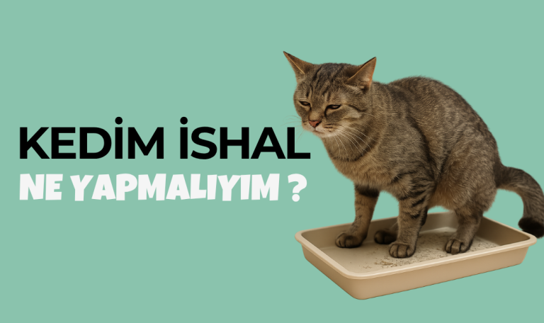 mersin hayvan hastanesi veterinerler